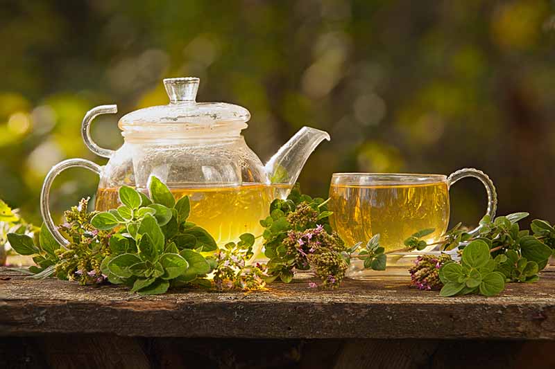 10 Natural Remedies for Common Cold and Flu 
