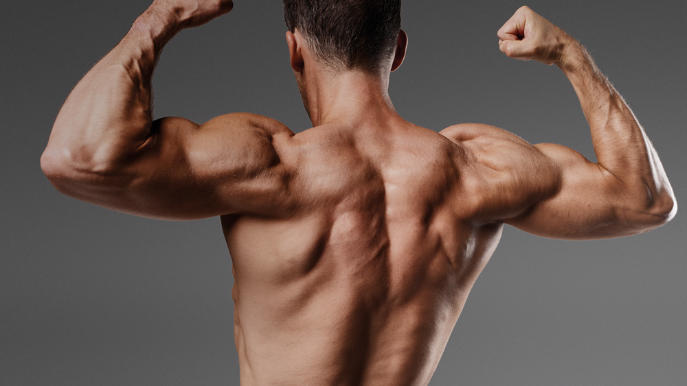 The Science of Building Lean Muscle Mass