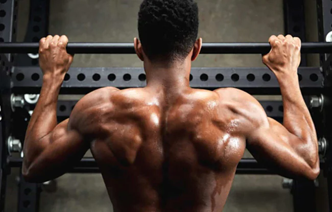 The Science of Building Lean Muscle Mass
