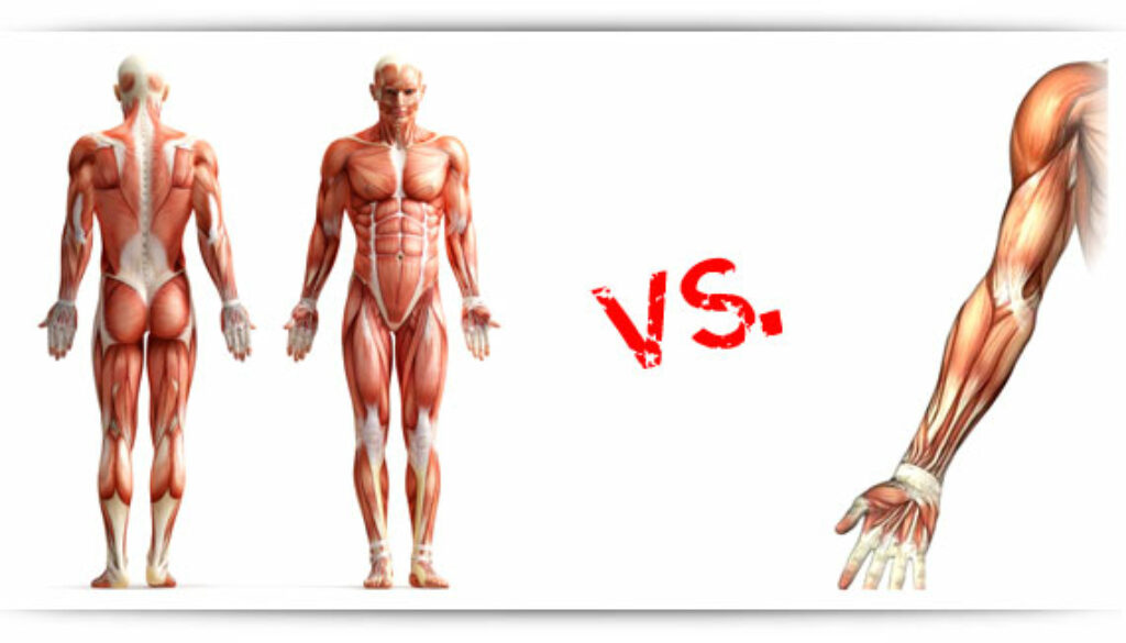 Cardio vs. Strength Training Which Is Right for You?