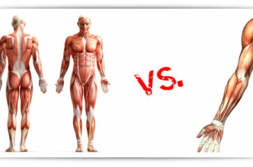 Cardio vs. Strength Training Which Is Right for You?