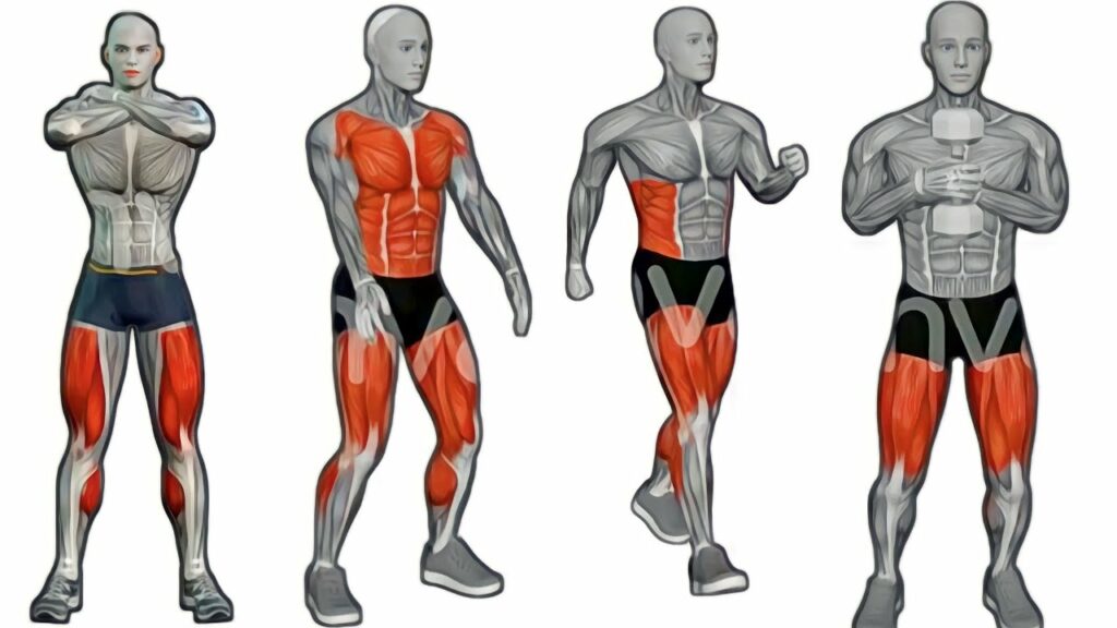 Cardio vs. Strength Training Which Is Right for You?