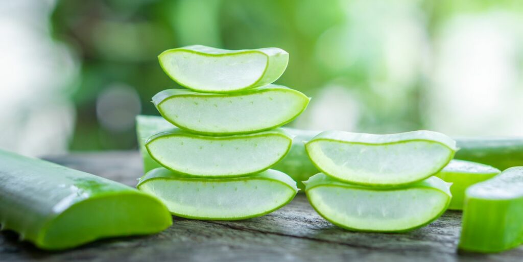 Aloe Vera: Nature's Miracle for Skin and Hair 