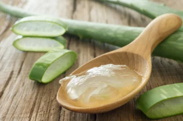 Aloe Vera: Nature's Miracle for Skin and Hair