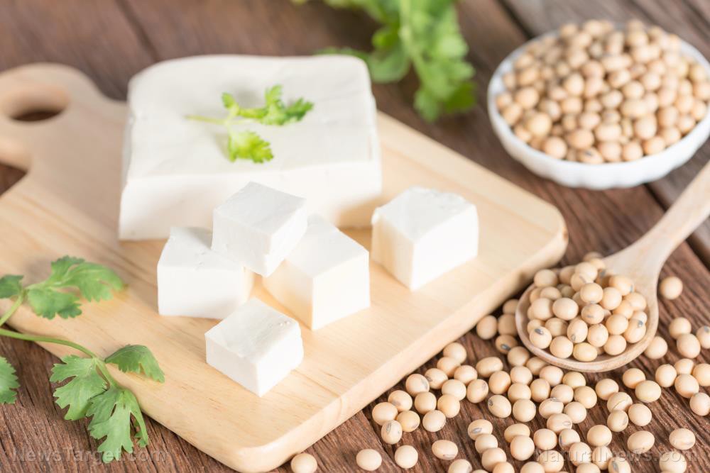 Best Probiotic for Gut Health A Comprehensive Guide