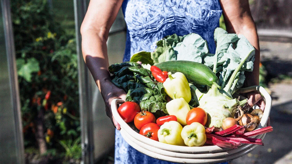 Managing Diabetes with a Nutrient-Rich Diet