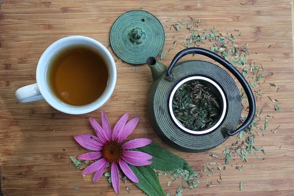 The Power of Echinacea Tea: A Natural Immune Booster