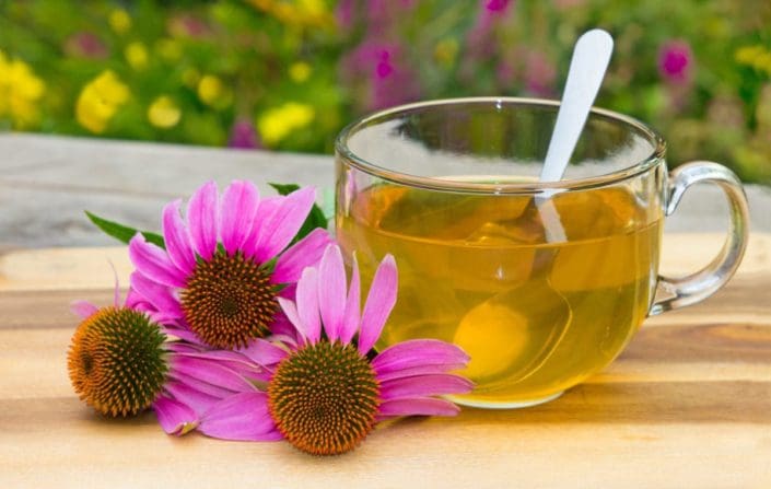 The Power of Echinacea Tea: A Natural Immune Booster