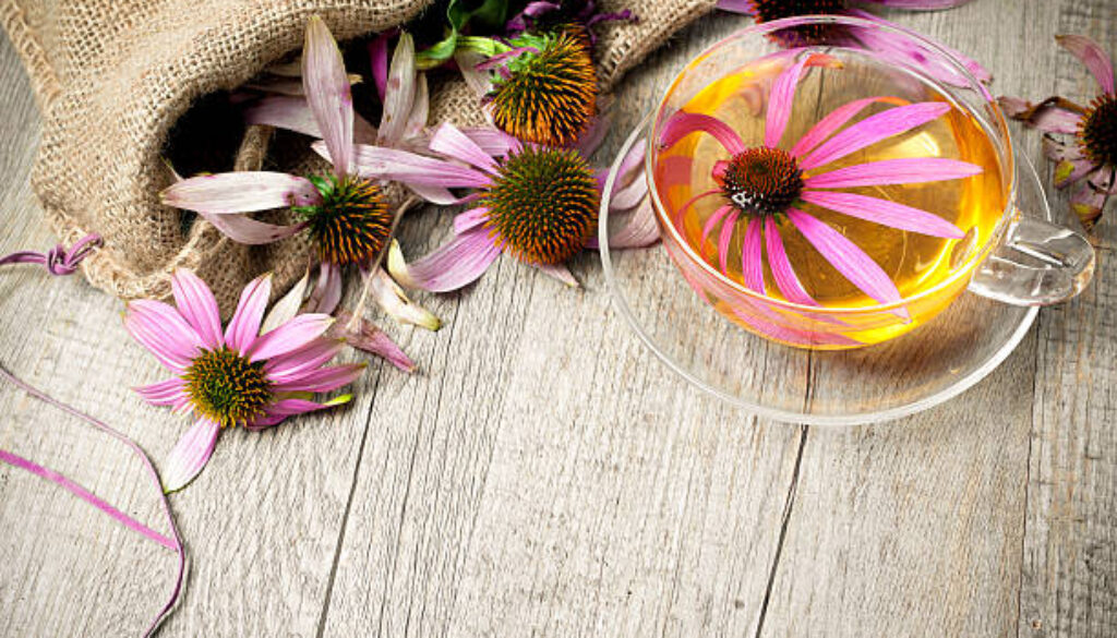 The Power of Echinacea Tea: A Natural Immune Booster