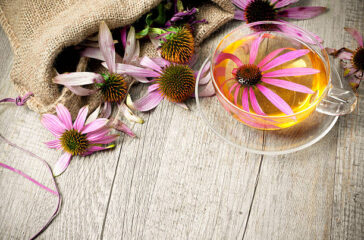 The Power of Echinacea Tea: A Natural Immune Booster